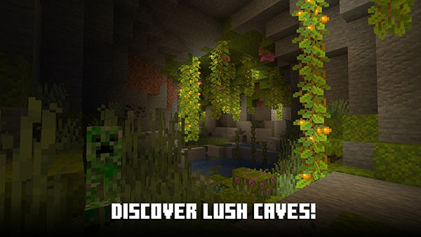 ҵҰֻ(Minecraft) v1.21.101.1 ׿ 1
