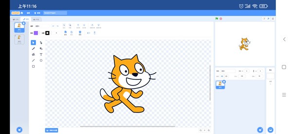 scratchô