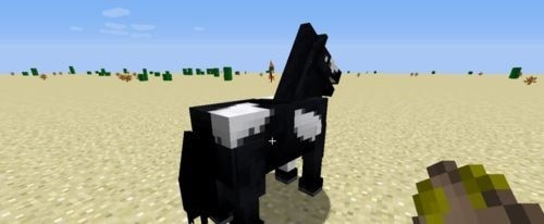 ҵôѱ