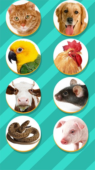 pet translator app