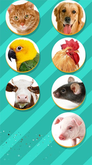 pet translatorԻ v1.1 ׿ 3