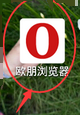 ŷôǩ