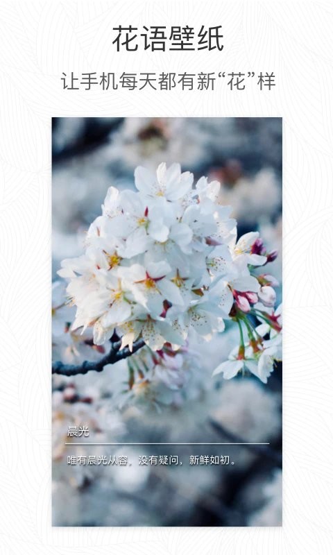 ɫֲʶapp v3.14.24 ׿ 0