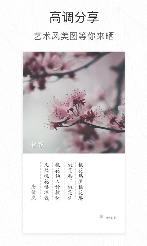 ɫʶֲٷ