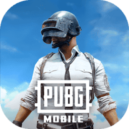 pubgʰ
